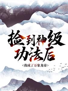 《捡到神级功法后，我成了万象龙帝》柳辰徐文林许如烟