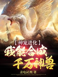 《神宠进化：我能合成千万神兽》江城钱少光头男黑衣人