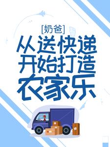 《奶爸：从送快递开始打造农家乐》林茜茜林枫黄奶奶