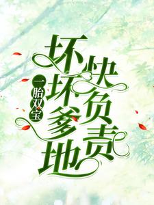 《一胎双宝：坏坏爹地快负责》沈茉染罗晶晶沈衡王桂兰