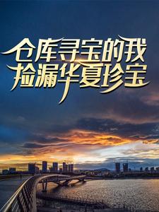 《仓库寻宝的我，捡漏华夏珍宝》王市首杨奕