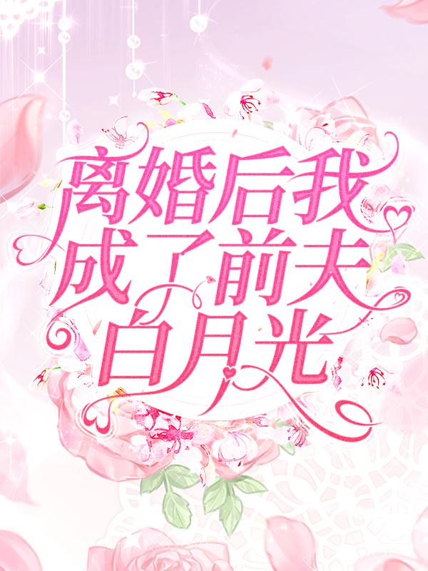 《宋婉清陆铭陶妍》小说