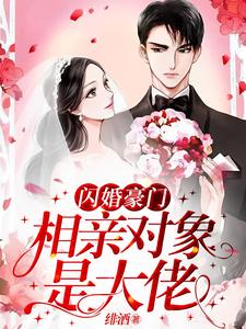 《闪婚豪门：相亲对象是大佬》陈时禹许南音徐雷顾冉