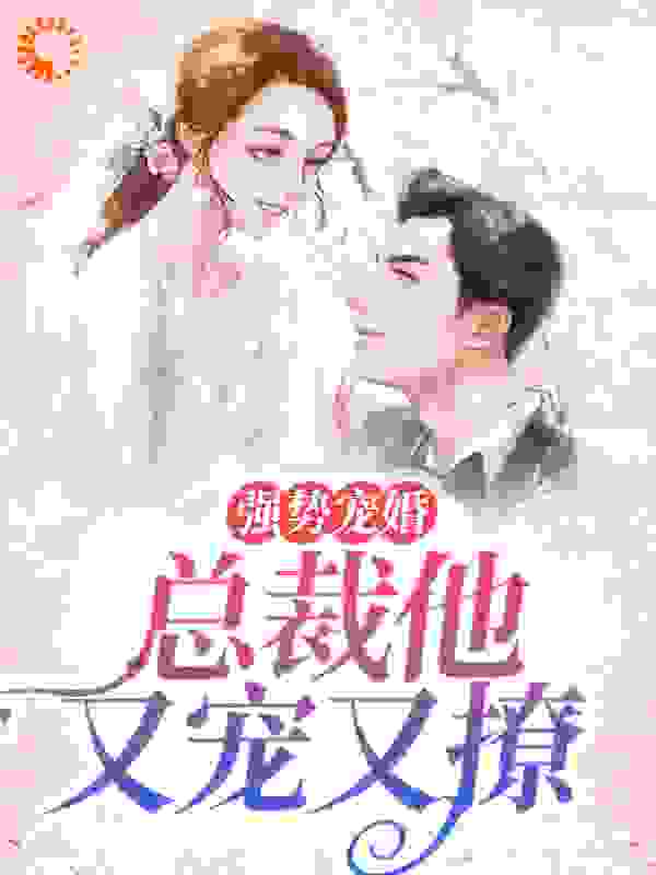 《强势宠婚：总裁他又宠又撩苏沫龙晏庆战励骋龙蕊》苏沫龙晏庆战励骋龙蕊