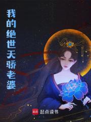 《陈牧陈严唐婉姜伏仙》小说