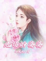 《孙海生婆婆乐乐》小说