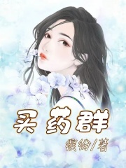 《陈辉林茜》小说