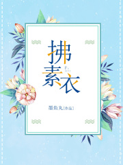 《拂素衣》李月蕾李素衣阿弟段斯年