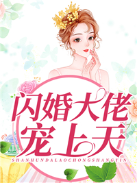 《闪婚大佬宠上天》慕晴江先生夜君博慕致远