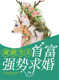 《冰清顾城陈兰芝林婉儿》小说