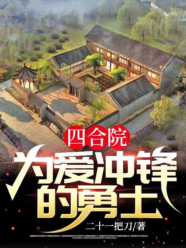 《四合院：为爱冲锋的勇士》陈一航王佳贾李卫星西门贵