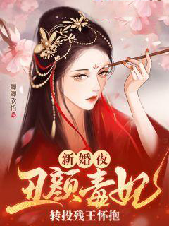 《魏清莞夜少荀婷儿夜少衍》小说